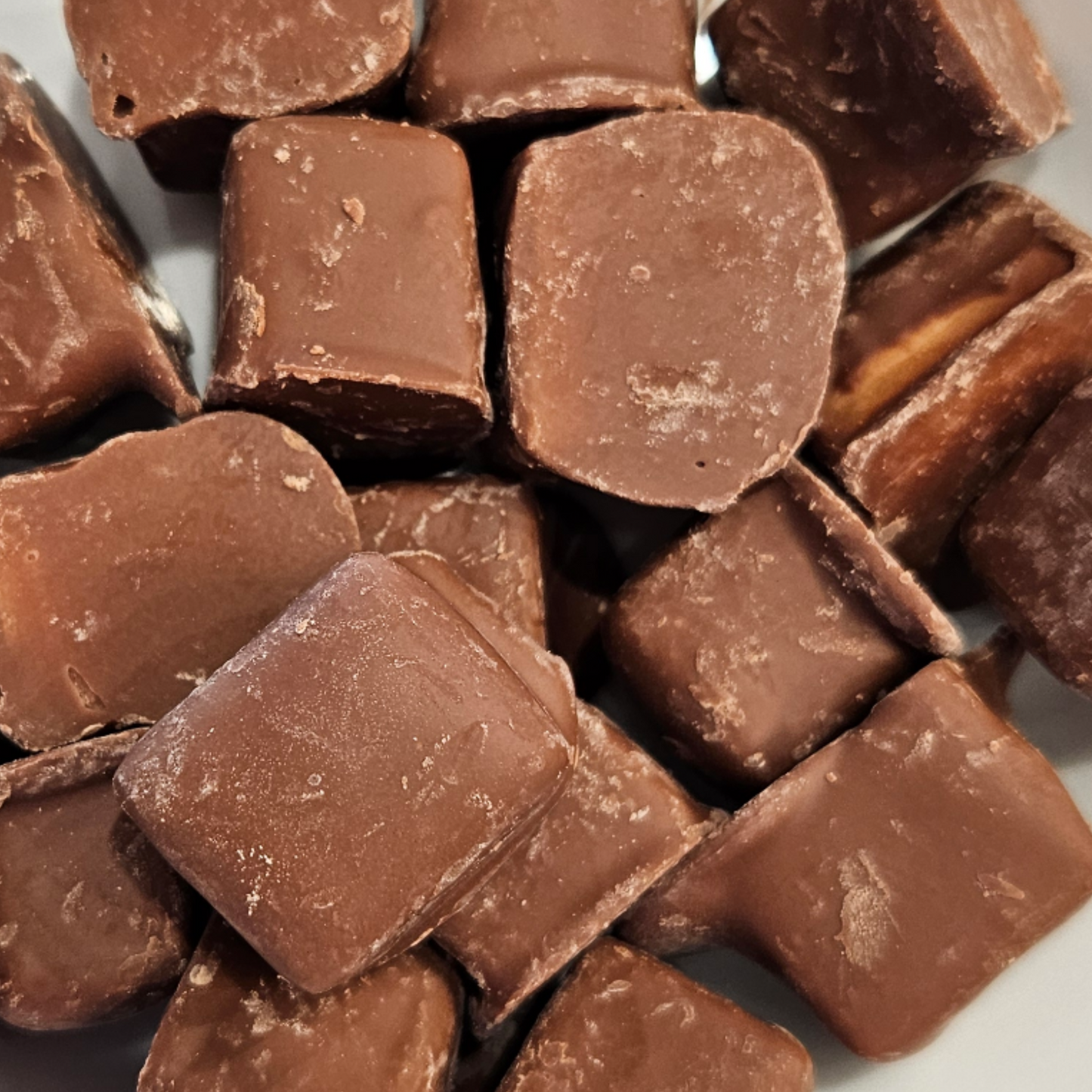 Choc Coated Jersey Caramels